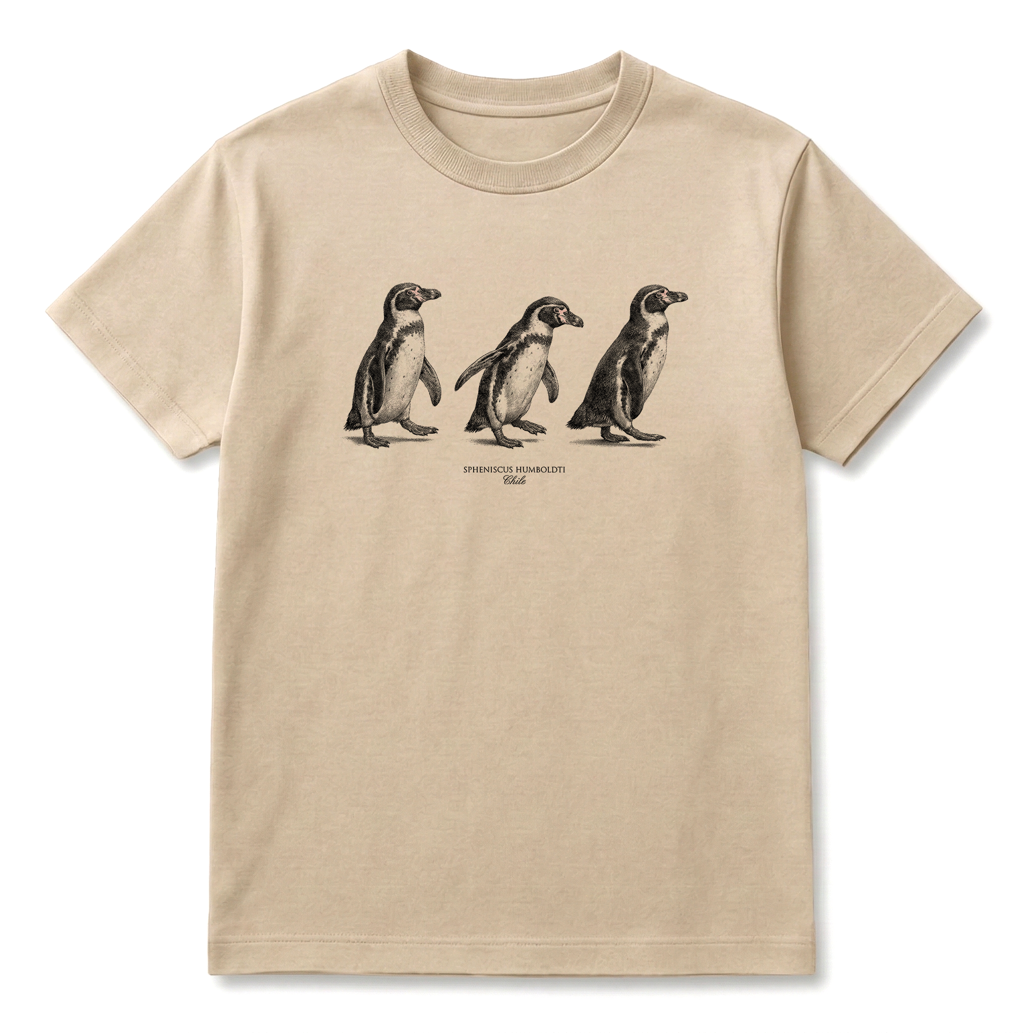 Pinguino de Humboldt