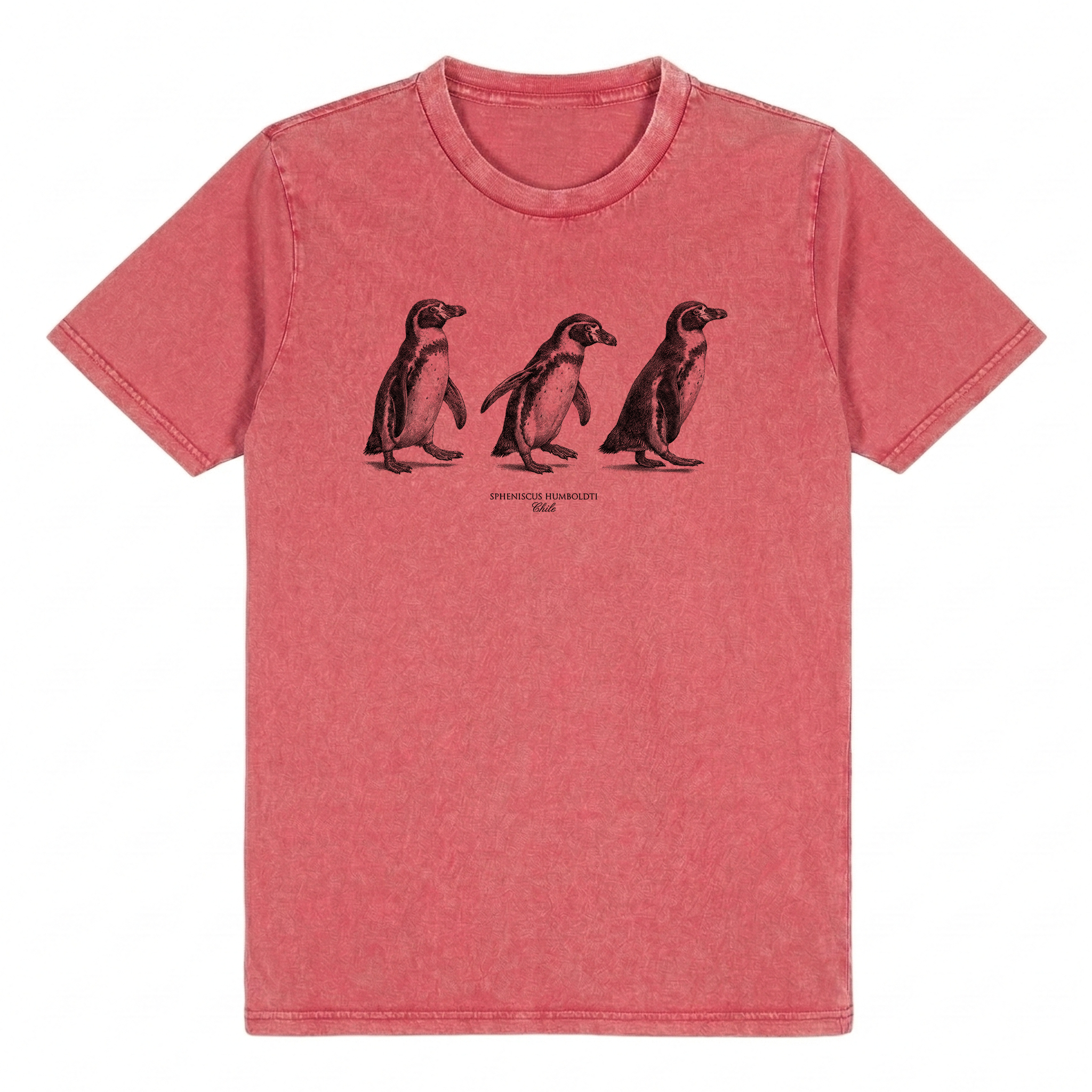 Pinguino de Humboldt