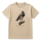 Aguila Mora