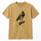 Aguila Mora