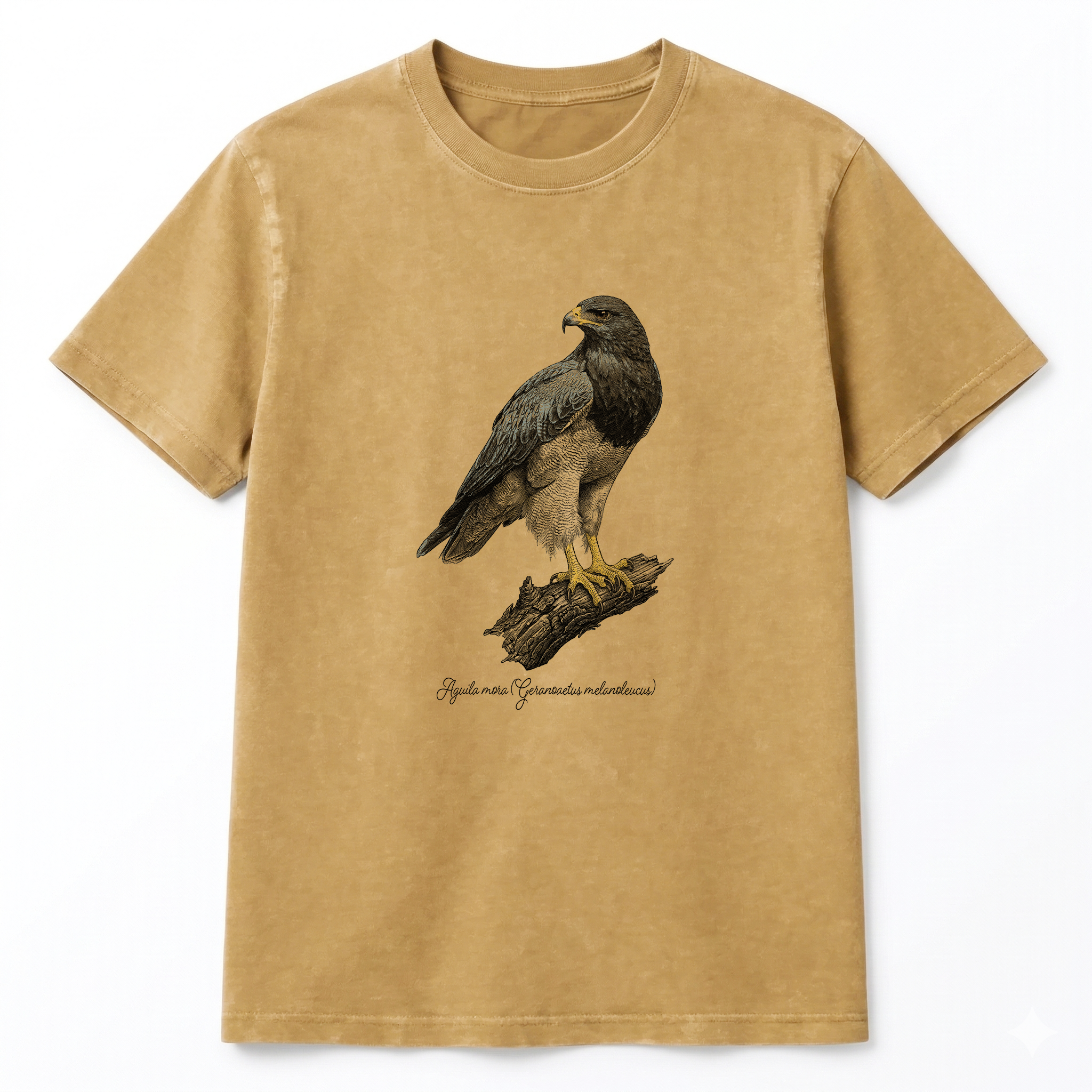 Aguila Mora