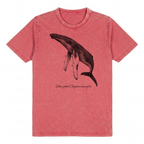Ballena Jorabada