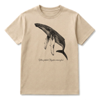 Ballena Jorabada
