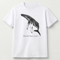 Ballena Jorabada