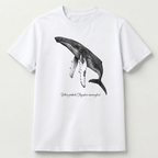 Ballena Jorabada