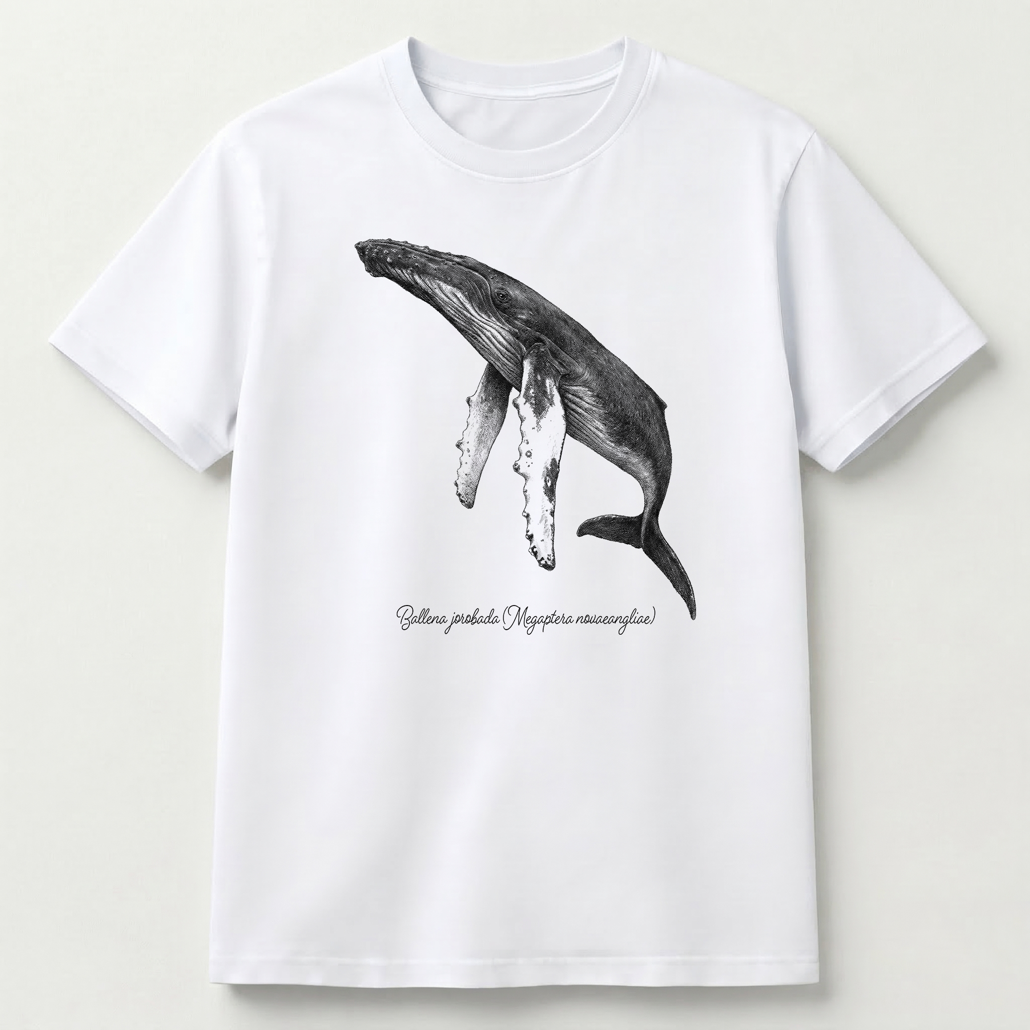 Ballena Jorabada
