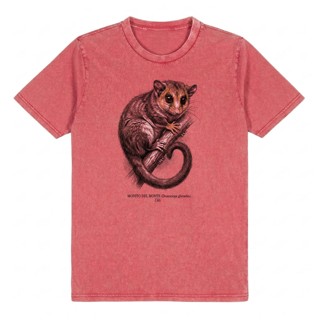Monito del Monte