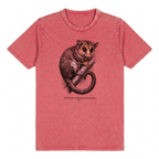 Monito del Monte