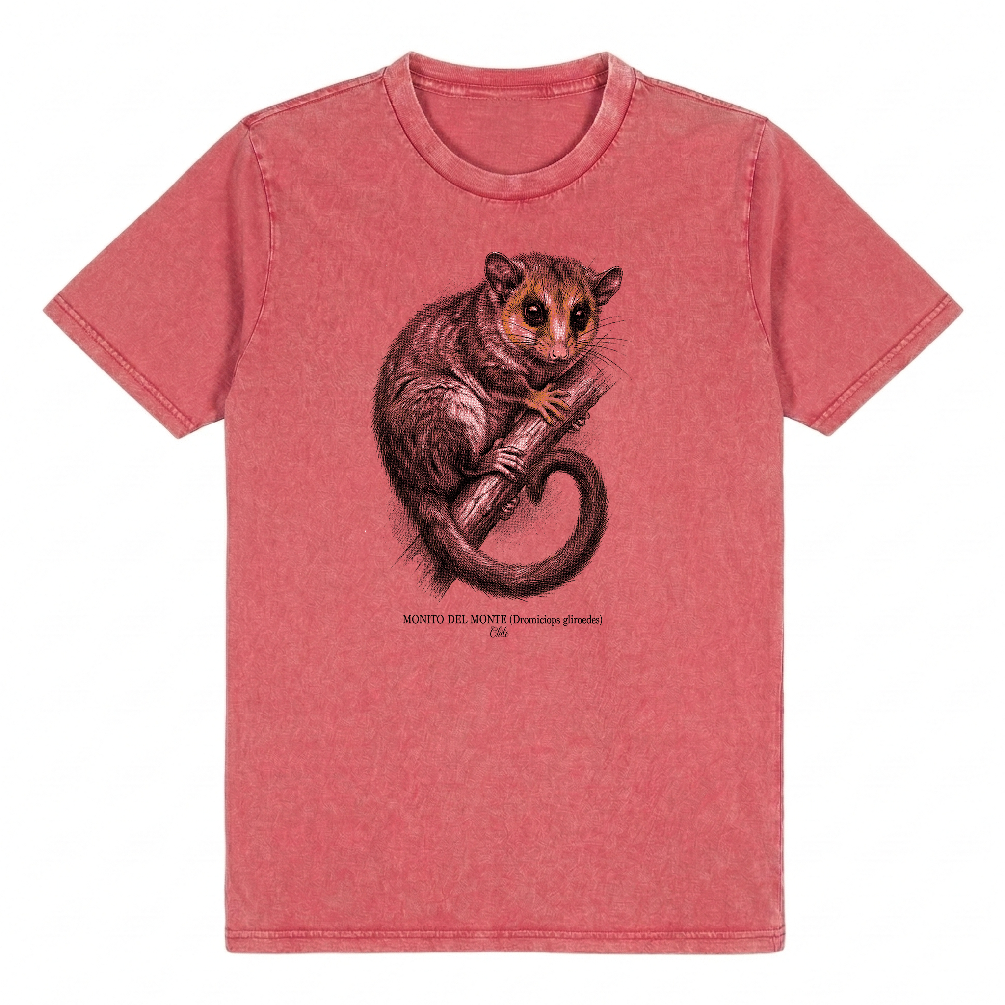Monito del Monte